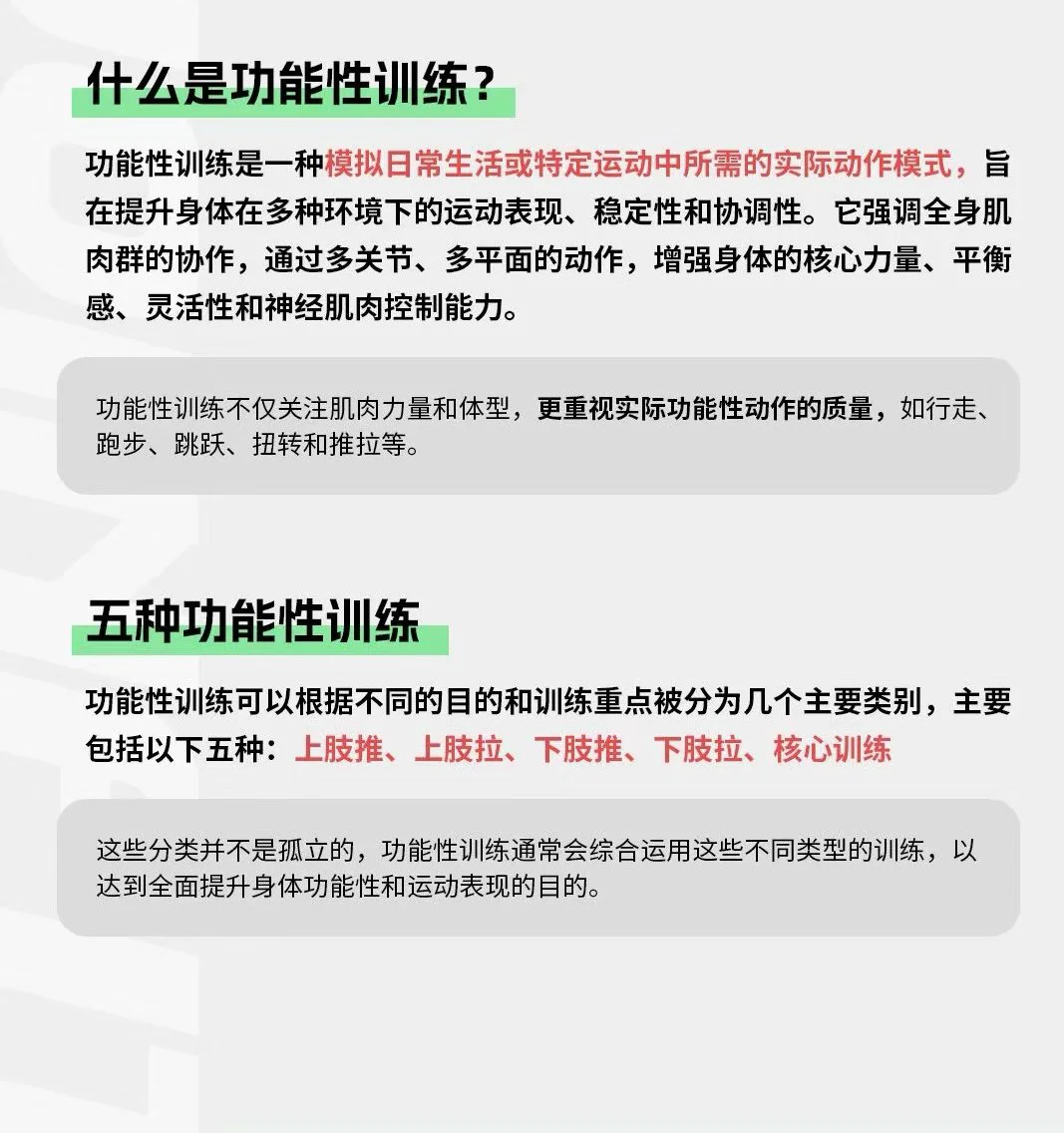 绳梯训练篮球_0
